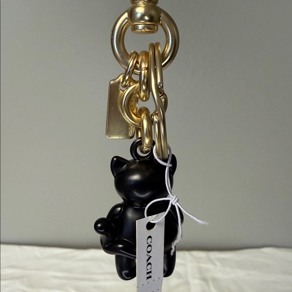 Coach Halloween Black Cat Pumpkin Bag Charm / Keychain – NWT, Retired & Sold Out - Picture 5 of 5